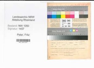 Entnazifizierung Fritz Peter , geb. 18.03.1906 (Ingenieur)