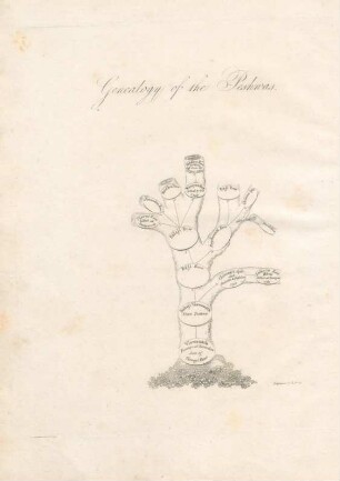 Genealogy of the Peshwas