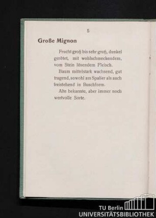 Große Mignon.