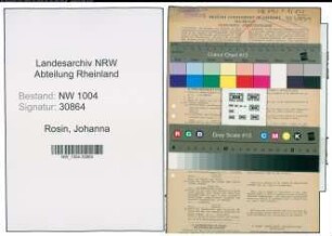 Entnazifizierung Johanna Rosin , geb. 14.07.1901 (Postassistentin)