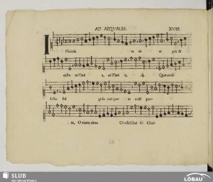 XVIII. Anonymus: Inviolata integra (Ad aequales)