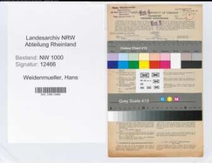 Entnazifizierung Hans Weidenmueller, geb. 22.10.1902 (Kaufmann)