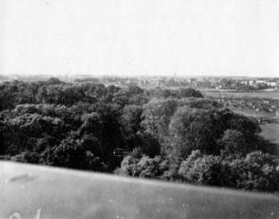 Blick v. Rosentalhügel über Auenwald geg. Möckern