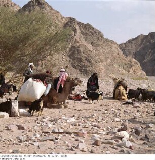Wanderung, Aufbruch - Sinai - Familie Salem