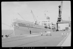 Aurelia