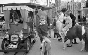 Ponyreiten und Autofahren im Kinderzentrum des Stadtgartens beim Sallenwäldchen.