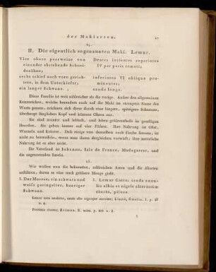 14. - 21. II. Die eigentlich sogenannten Maki. Lemur
