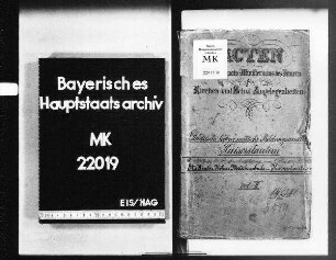 Kaiserslautern. Städtische höhere Töchterschule.