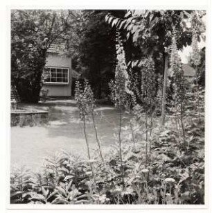 Garten Dr. Bahr: Blick zum Haus