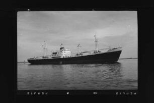 Belgrano (1953), Frachtschiff, HSDG, Hamburg, Bau-Nr. 435