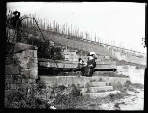 Weinberge 1913