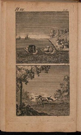 Pl. VII. p. 81 [und] p. 85