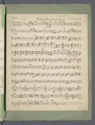 Violoncello & Contrabasso