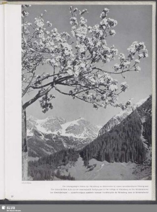 Die Schafalpköpfe bilden für Mittelberg im Kleinwalsertal einen unverkennbaren Hintergrund