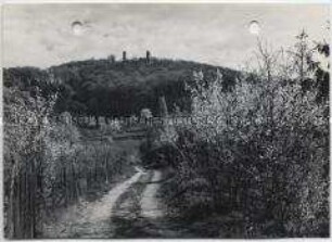 Auerbach im Odenwald, Schloß