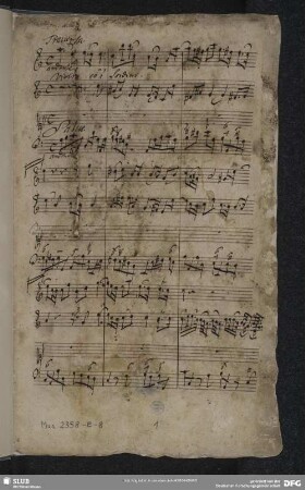 Salve regina