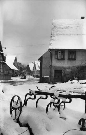 Palmbach im Winter nach Schneefall.