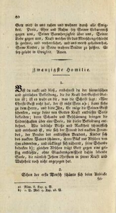 Zwanzigste Homilie
