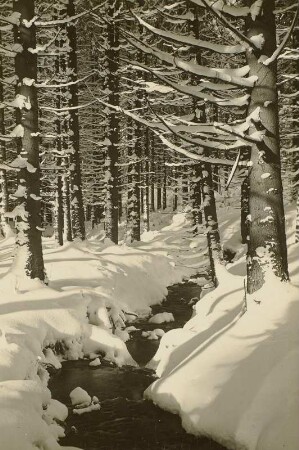 Rehefeld. Am verschneiten Mühlfluss