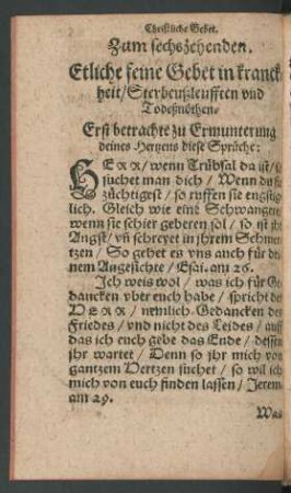 Zum sechszehenden.