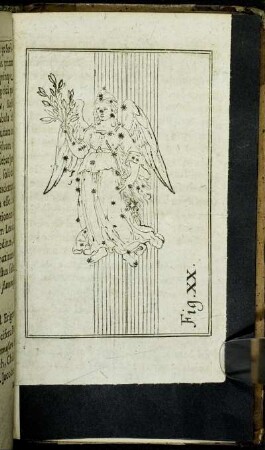 Fig. XX.