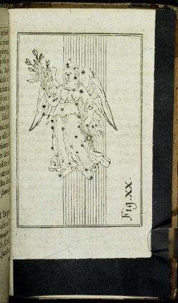 Fig. XX.