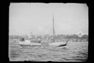 Seeadler (1904), J. Hahn, Wischhafen