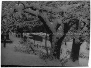 Verschneites Dorf