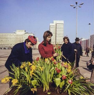 Blumendekoration auf dem Alexanderplatz. Farbfoto, 1970er Jahre © Kurt Schwarz.