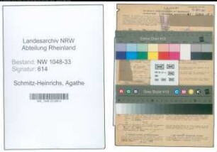 Entnazifizierung Agathe Schmitz-Heinrichs , geb. 10.10.1905 (Lehrerin)