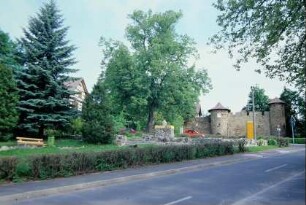 begrünter Dorfplatz, im Hintergrund das Schloss