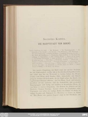 Sechstes Kapitel. Die Hauptstadt Von Bornû.