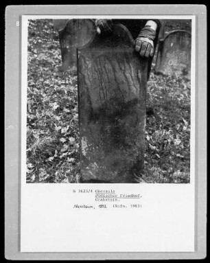 Grabstein von ? Nussbaum, gestorben 1892