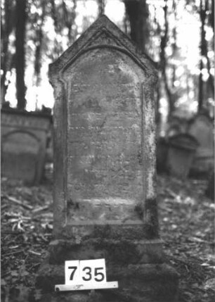 Grabstein 735 (Index: 99900424) Material: Sandstein Zustand: völlig verwittert Maße HxBxT: 115x46x20 cm Beschreibung: aufgesockelte Stele mit Dreiecksabschluss Besonderheit: vermutete Identifizierung nach Gräberverzeichnis: Grabstein 735