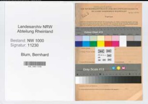 Entnazifizierung Bernhard Blum, geb. 30.01.1908 (Finanzangest.)