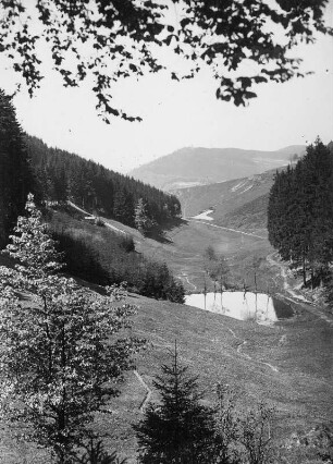 Rimbachtal im Thüringer Wald : Thüringer Wald. Blick zum Domberg (676 m) mit Bismarckturm