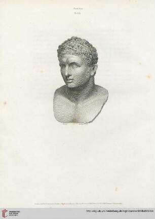Plate XII