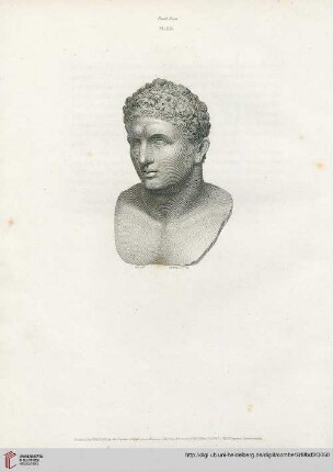 Plate XII