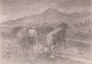 Schafe vor bergiger Landschaft