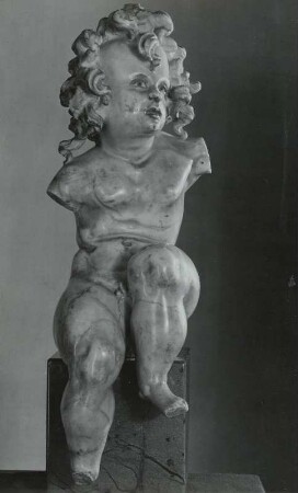 Putto