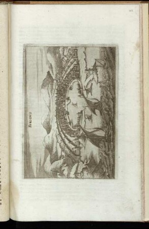 [Abb. XIX.] Rhodus