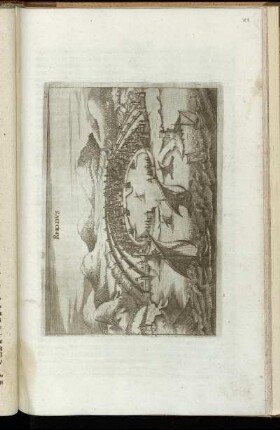 [Abb. XIX.] Rhodus