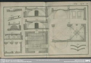 Tab. XX. Fig. 383-393