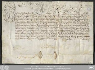 [Halle (Saale), Universitäts- und Landesbibliothek Sachsen-Anhalt, Morbio 31 (22)]