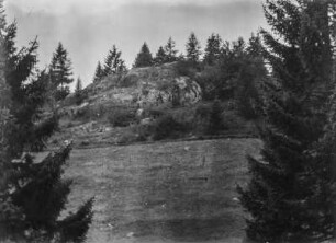 Felsen : Ein Felsen umgeben von Bäumen oberhalb eines Hanges