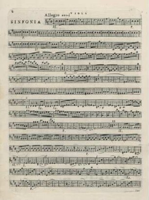 Viola