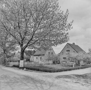 Groß Düben : Groß Düben. Wohnhäuser. Straßenansicht