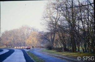 Berlin, Schlossgarten Glienicke, Park mit Straße.