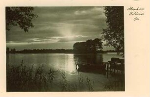 Postkarte, Soldin (Neumark)