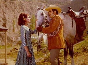 Die Goldsucher von Arkansas
